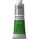 WINTON  TERRE VERTE
